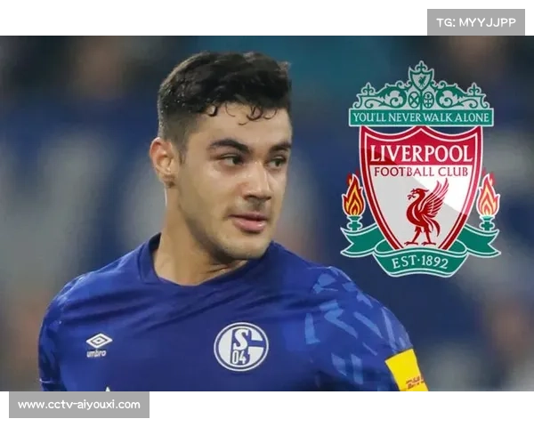 德甲转播权谈判进行中,海外市场扩张成重点 德甲转播权谈判进行中,海外市场扩张成重点